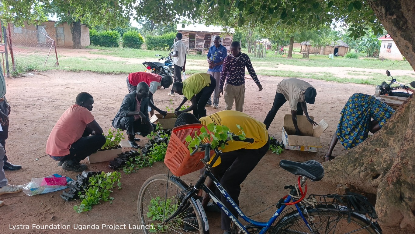 Community members prepare tree seedlings for distribution beneath a shade tree